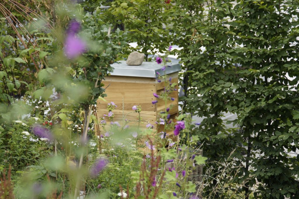 Der Bienenkasten im Garten von Seitwerk, Foto: Barbara Zerhoch